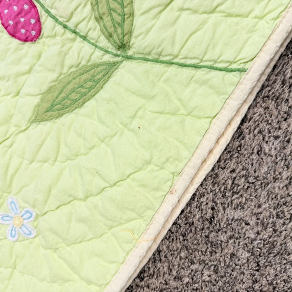 Pottery Barn Kids Floral Daisy Garden Quilt Comforter 2 Shams Full Queen 86 x 86